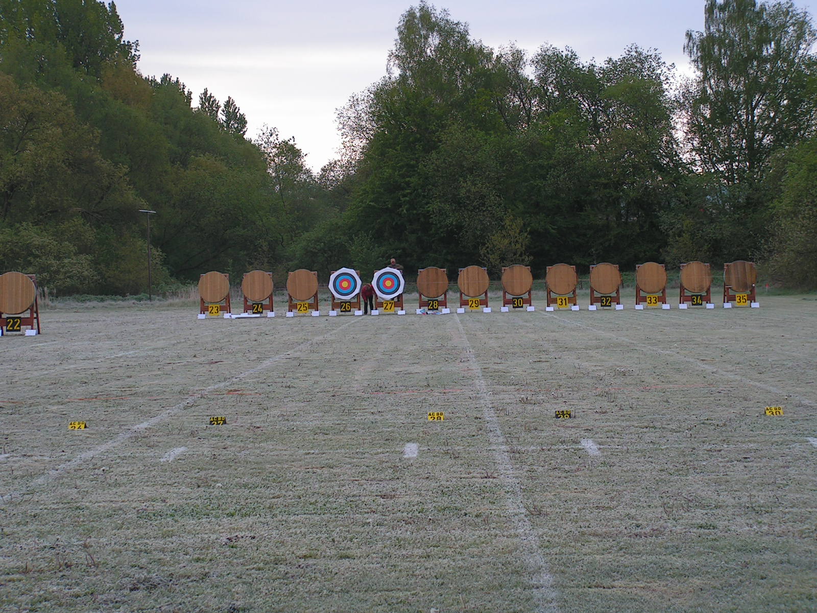 NT-2019-2.jpg